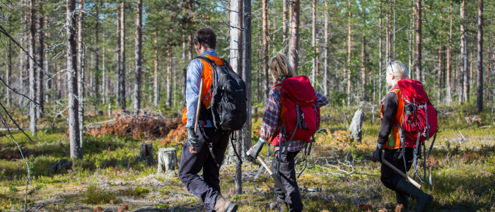 Geologit kartoittamassa metsässä